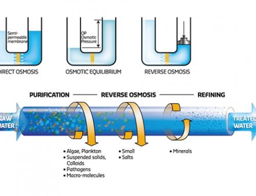 Reverse Osmosis (RO)