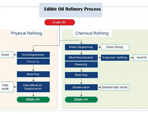 Edible Oil Refining